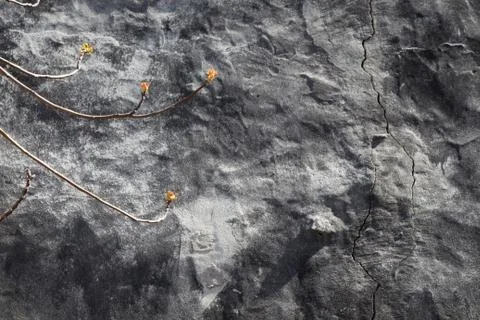 Wall surface as a background  texture pattern Stock Photos