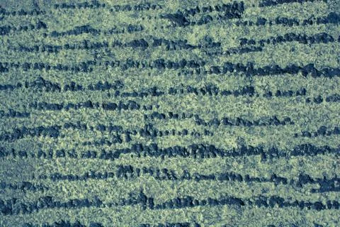 Wall surface as a background  texture pattern 写真素材