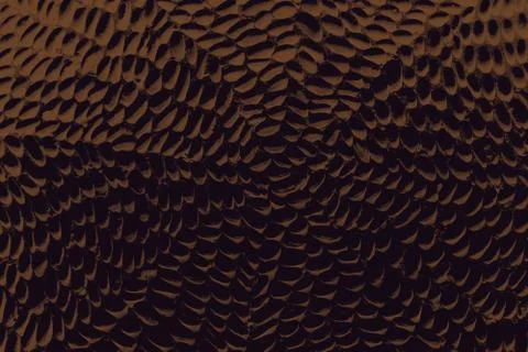 Wall surface as a background  texture pattern 写真素材