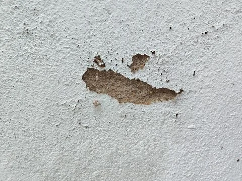 The wall surface is old and rough Stock Photos