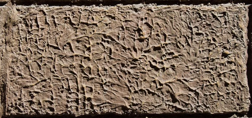 Wall surface as a simple background texture pattern Stock Photos