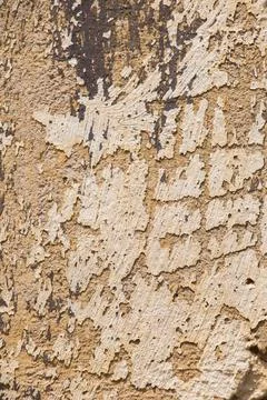 Wall surface as a simple background texture pattern Stock Photos