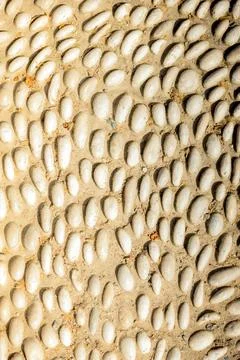 Wall surface as a simple grunge background texture pattern Stock Photos