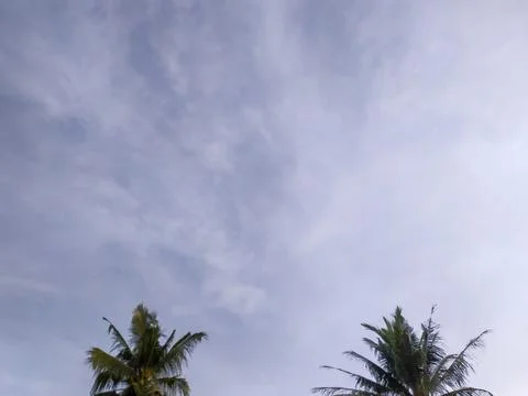 Wall surface wallpaper Foto stock