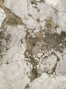 Wall surface wallpaper Stock Photos