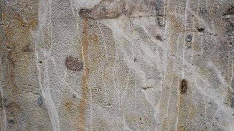 Wall Texture 4 库存照片