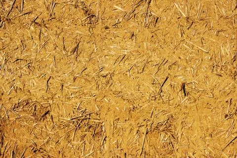 The wall texture of an adobe house made from barley straw and two kinds of clay. Stock Photos
