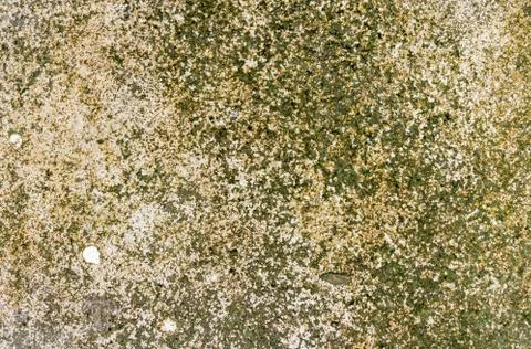 Wall texture and background Stock Photos