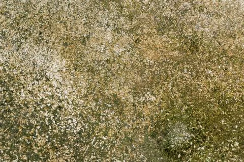 Wall texture and background Stock Photos