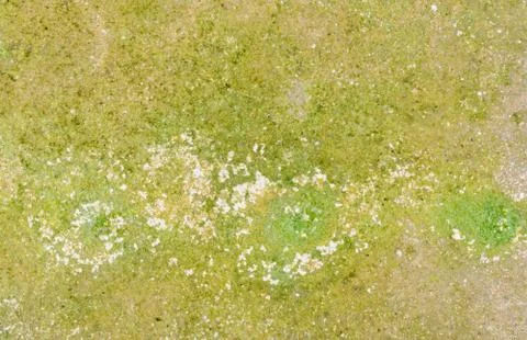 Wall texture and background Stock Photos