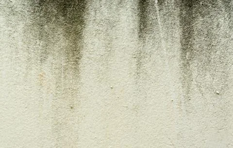 Wall texture and background Stock Photos