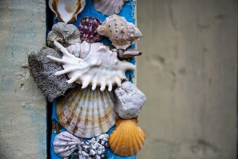 Wall texture background decorated with seashells textures on the side 写真素材