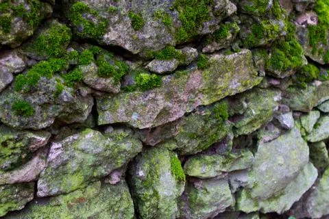 Wall texture background Stock Photos