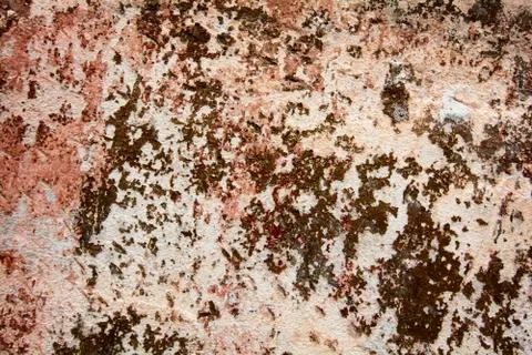 Wall texture background Stock Photos