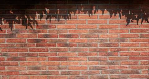 Wall Texture for Background 写真素材