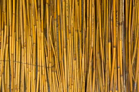 Wall texture of cattail Stock Photos