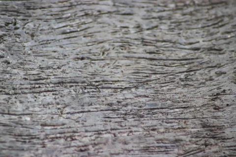 Wall texture close up - Image Stock Photos