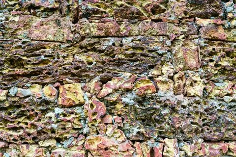 Wall texture with a coral material Stock Photos