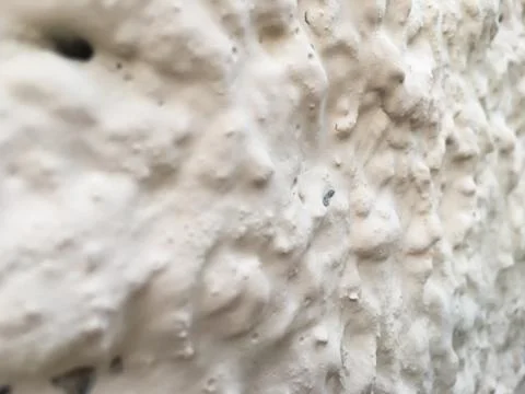 Wall texture covered with white paint. White background. Stock Photos