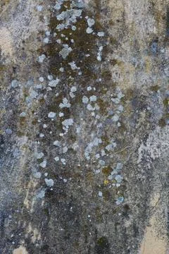 Wall texture with dirty spots and scratches Stock Photos