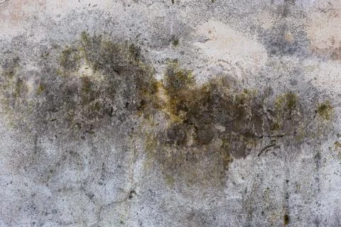 Wall texture with dirty spots and scratches Stock Photos