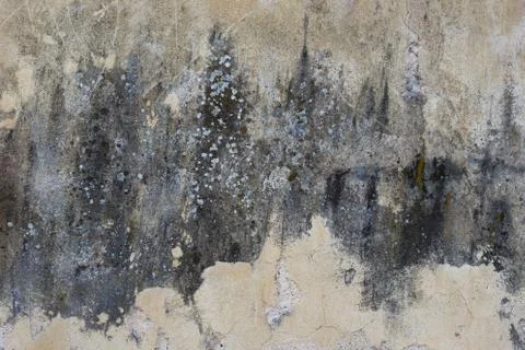 Wall texture with dirty spots and scratches Stock Photos