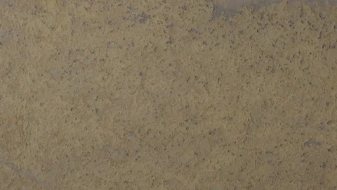 Wall Texture 库存影片 152565115