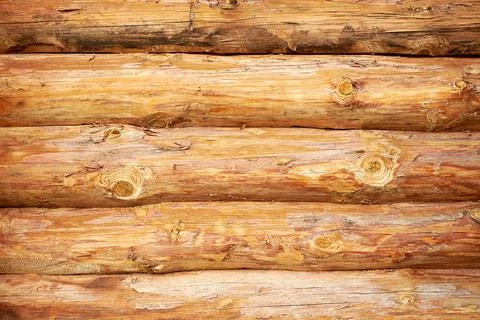Wall texture from freshly cut logs of tree trunks Stock Photos