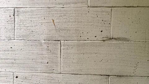 Wall Texture Grey Bricks Stock Photos