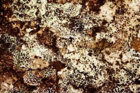 Wall texture Stock Photos