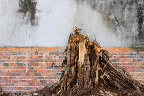 Wall texture Stock Photos