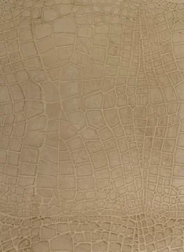 Wall texture Stock Photos