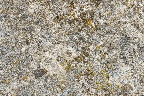 Wall texture Fotos de archivo