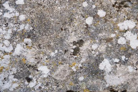 Wall texture Fotos de archivo