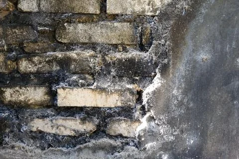 Wall texture Fotos Stock