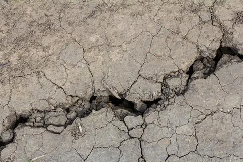 Wall texture soil dry crack pattern of drought lack of water of nature brown  Foto stock