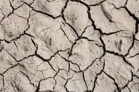 Wall texture soil dry crack pattern of drought lack of water of nature brown  Stock Photos