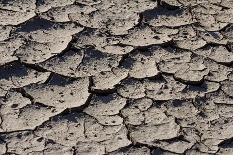 Wall texture soil dry crack pattern of drought lack of water of nature brown  Foto stock