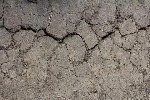 Wall texture soil dry crack pattern of drought lack of water of nature brown  Foto stock