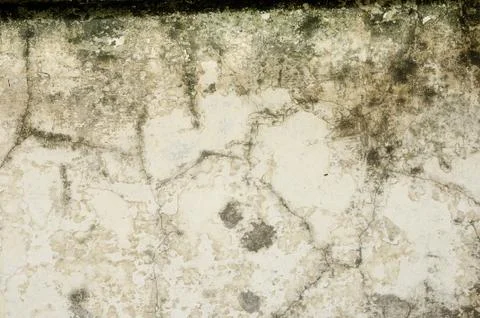 Wall texture with stained from moss Stock Photos