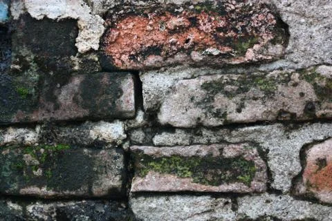 Wall texture zoom view Stock Photos