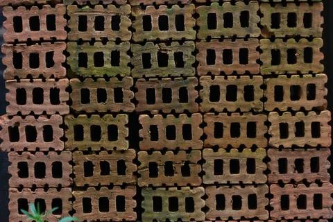 Wall texture zoom view Stock Photos