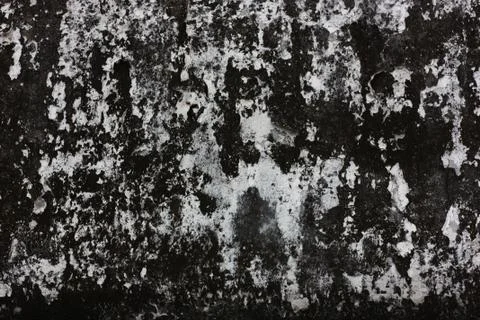 Wall texture zoom view Stock Photos