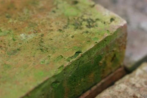 Wall texture zoom view Stock Photos