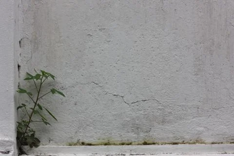 Wall texture zoom view Stock Photos