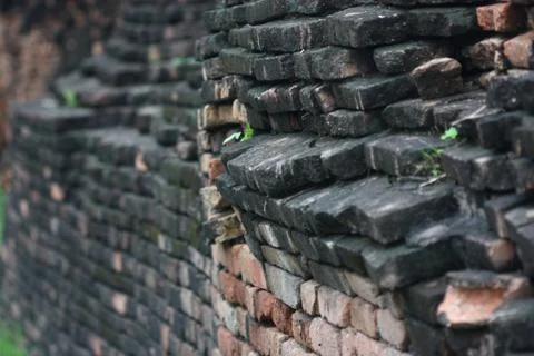 Wall texture zoom view Foto stock