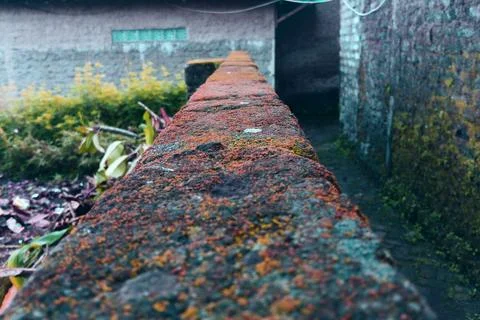 Wall thickness Stock Photos