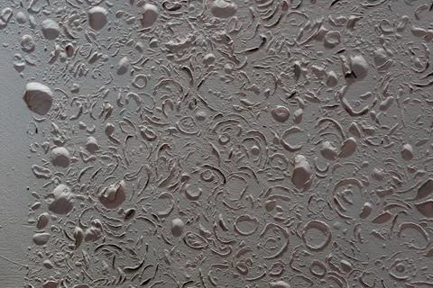 Wall tile sea shell abstract texture. Foto stock