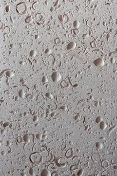 Wall tile sea shell abstract texture. Stock Photos