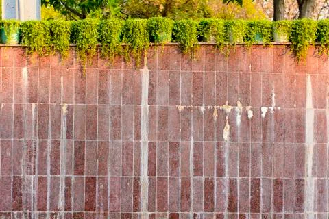 Wall tiles texture Stock Photos